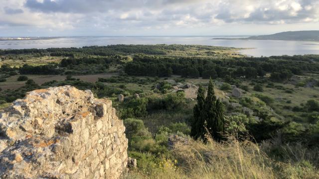chateau de leucate